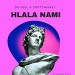 cover: Dr Feel|Sontshikazi - Hlala Nami