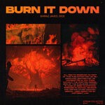 cover: D!CE|Shiraz Javed - Burn It Down