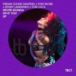 cover: Dream Sound Masters|Tom Luca|Tom Skobe - Never Gonna Give You Up