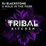 cover: DJ Blackstone - A Walk In The Park