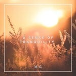 cover: M_G - A Sense Of Tranquility