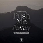 cover: Tjalling Reitsma - Push Me Away