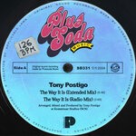 cover: Tony Postigo - The Way It Is