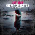 cover: Jay Mav - Know You Better