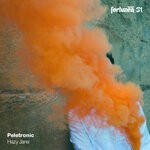 cover: Peletronic - Hazy Jane