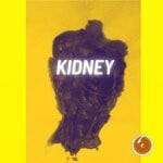 cover: Saint Kidney - Techno Tourists