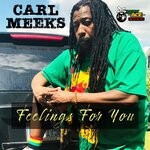 cover: Carl Meeks - Feelings For You (Explicit)