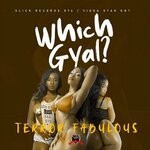 cover: Terro Fabulous - Which Gyal