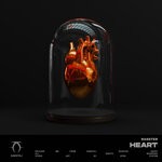 cover: Rasster - Heart