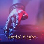 cover: Friday holiday - Aerial Flight