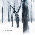 cover: Lost Prospect - Snowfall