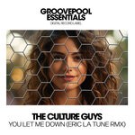 cover: The Culture Guys - You Let Me Down