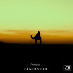 cover: Hamidshax - Perfect (Original Mix)