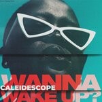 cover: CALEIDESCOPE - Wanna Wake Up?