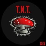 cover: Dj Tonio|Torgull - T.N.T.