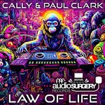 cover: Cally|Paul Clark (UK) - Law Of Life