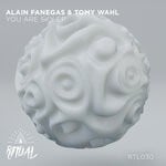 cover: Alain Fanegas|Tomy Wahl - You Are Sky EP