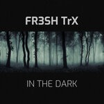 cover: FR3SH TrX - In The Dark