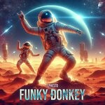 cover: Ephesto - Funky Donkey