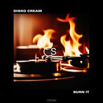 cover: Disko Cream - Burn It