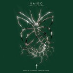 cover: Raido - Dare To Chase