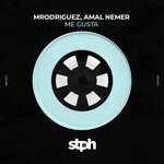 cover: Mrodriguez|Amal Nemer|Saliva Commandos - Me Gusta