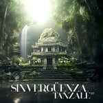 cover: Sinverguenza - Tanzale