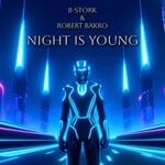 cover: B-Stork|Robert Bakro - Night Is Young