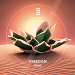 cover: Donz - Freedom