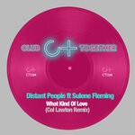 cover: Sulene Fleming|Distant People - What Kind Of Love?