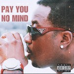 cover: Troy Ave - Pay You No Mind (Explicit)