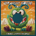 cover: Various - Straight House, Vol 2