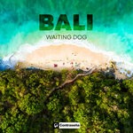 cover: Waiting Dog - Bali