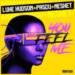 cover: DJ Nesket|LUKE HUDSON|DJ PASCU - You Feel Me