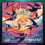 cover: Axial Tilt - Bird Tribes