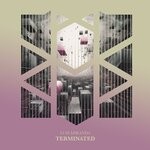 cover: Luis Miranda - Terminated