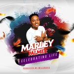 cover: Marley Palmer - Celebrating Life