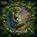 cover: DJ Mel Rose - My Process