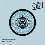 cover: Secret Soul Society - Feel The Need