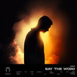 cover: Janic - Say The Word