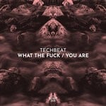 cover: Techbeat - What The Fuck / You Are