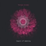 cover: Felipe Novaes - Layers Of Meaning