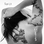 cover: Meis - Spijt