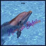 cover: Brohug - Move Like Dolphin