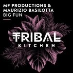 cover: Maurizio Basilotta|MF Productions - Big Fun