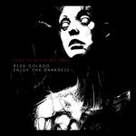 cover: Reza Golroo - Enjoy The Darkness