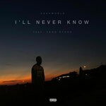 cover: Dashworld|Yxng Stxck - I'll Never Know