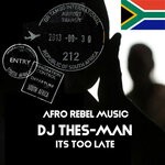 cover: DJ Thes-Man - Its Too Late