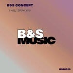 cover: B&S Concept - I Will Show You