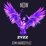 cover: GYM HARDSTYLEZ - Now